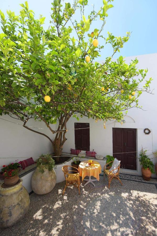 Teresa'S Home Lindos  Extérieur photo